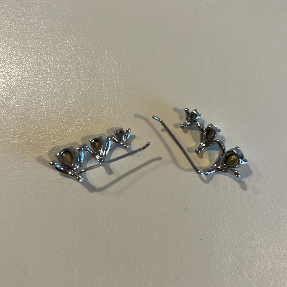 Ear Climbers View 3